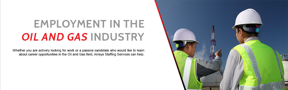 Amsys Professionals staffing services