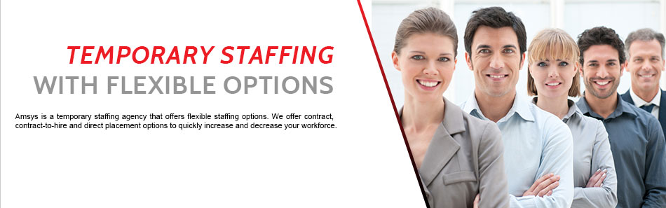 Amsys Professionals staffing services